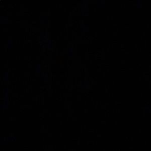 Meet your Posher, Logan